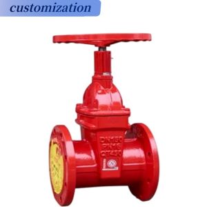 Stop Structure Flange Gate Valve Indoor Fire Hydrant Fire Fighting Equipment
