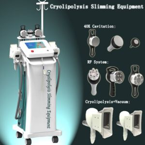 10.4 inch screen touch control cryolipolysis slimming machine with 5 handles