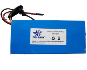 China E-Bike Lithium Polymer Battery Pack 25.9V 12ah With PCM on sale