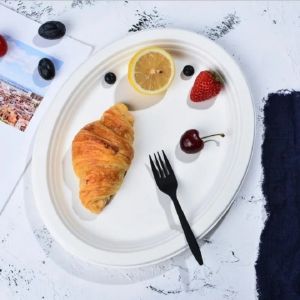 Compostable Sugarcane Bagasse Oval Pulp Packaging Oval Food Plates