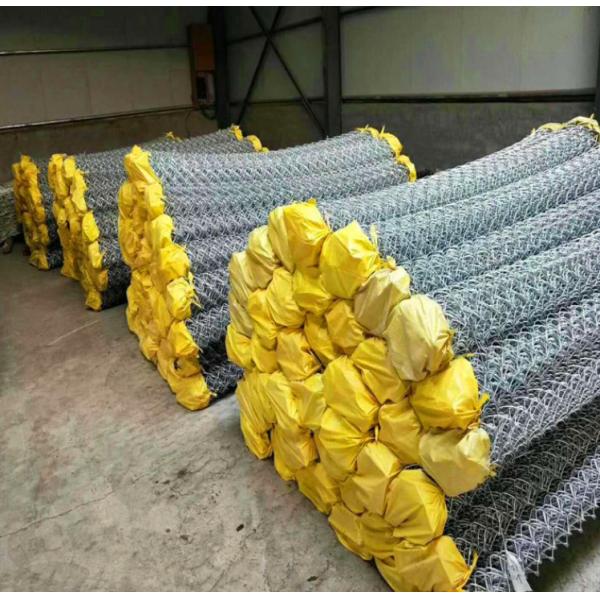 PVC Coated Chain Link Fence 10 Gauge Galvanized Steel Security Mesh