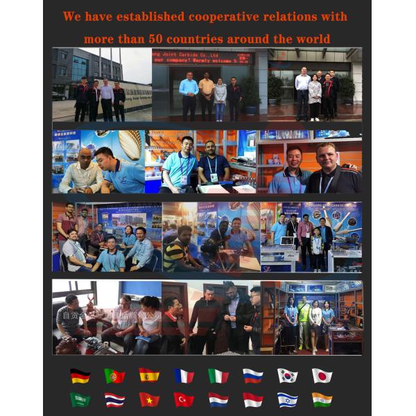 Factory Wholesaler Cutting Burrs for Die Grinder Drill Bits Rotary Files Burs Power Tool Parts Tungsten Carbide Burrs