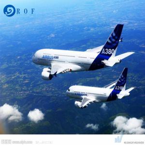 Shanghai To Toronto Canada Speedy DDP Air Shipping