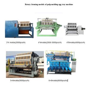 Waste Paper Pulp Molding Machine Egg Tray / Apple Tray / Egg Carton Making
