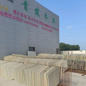 China Building Construction Bleached Paulownia Soild Wood 4X8 Lumber Board Prices 300kg/m3 on sale