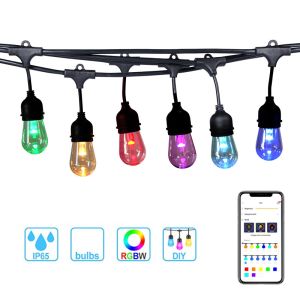 LED Cafe lights with Tuya APP Wifi smart RGBW String Lights 48ft 24sockets