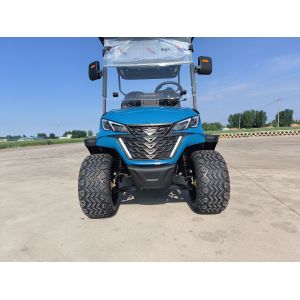 2+2 High End Luxury Blue Electric Golf Cart Lithium Battery With Customizable