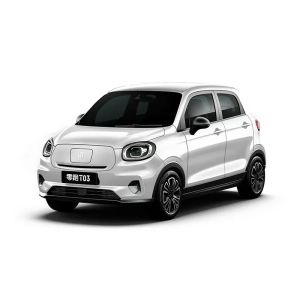 2023 Speed EV Mini Car Customized Leap Motor T03 Made In with 4-Door 5-Seater