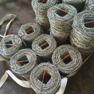 Woven SS Wire Mesh Screen Stainless Steel Netting For Industrial Filtering