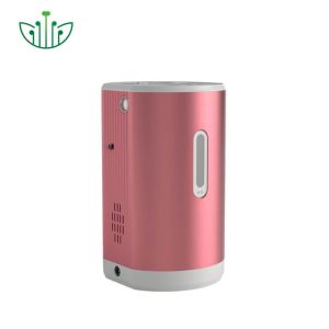 China Portable Hydrogen Inhaler with 99.9% Pure Hydrogen 150ml/min Output and 75ml/min Oxygen for Therapy on sale