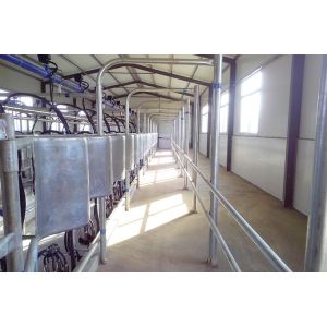 herringbone type 5T/h 20 Unit Milking Parlour Low Noise Automatic Milking