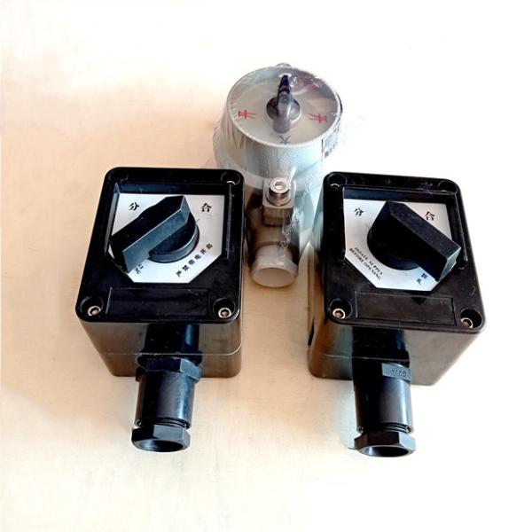 Quality Plastic Explosion Proof Switch Flame Proof Controller Selector Lighting Switch 380v wholesale