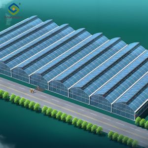 China Customization Span Large Commercial Greenhouse With Single PE Layer Frame 4m Height on sale