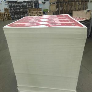 PLA Coated Paper Sheet for Sustainable Packaging Solution with Customized