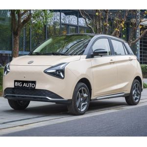 Maximum Torque Of 125N-m High Speed Pure Electric Car Joy 01 Rang Up To 335km
