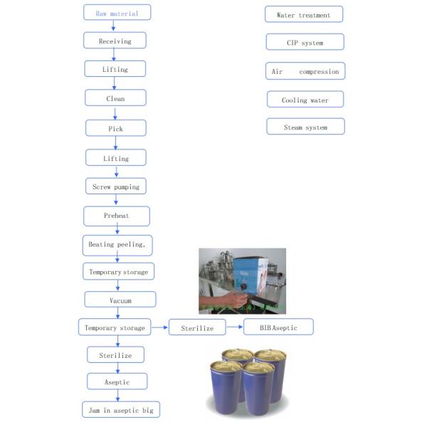 Concentrated Fruit Pulp Production Line High Capacity