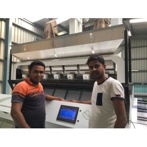 Toshiba CCD Sensor White Sesame Color Sorter Machine For Black Spots