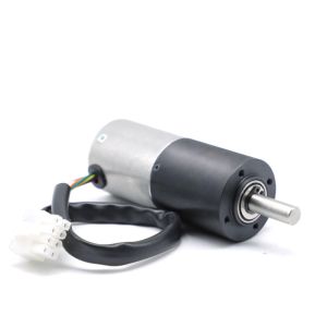 High Torque Bldc Motor Reduction Gearbox Lawn Mower Bldc Gear Motor 36mm