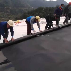 Waterproof Geomembrane for Artificial Pool Fish Pond Width 1m-8m Double Smooth