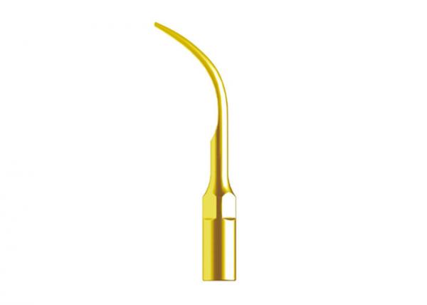 Quality Endodontics Dental Ultrasonic Scaler Handpiece Scaler Tip Golden Color wholesale