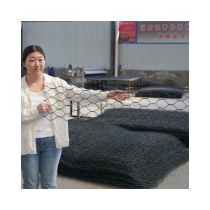 2x1x1 PVC Coated Galvanized Iron Wire Gabion Wire Mesh with Customizable Welding