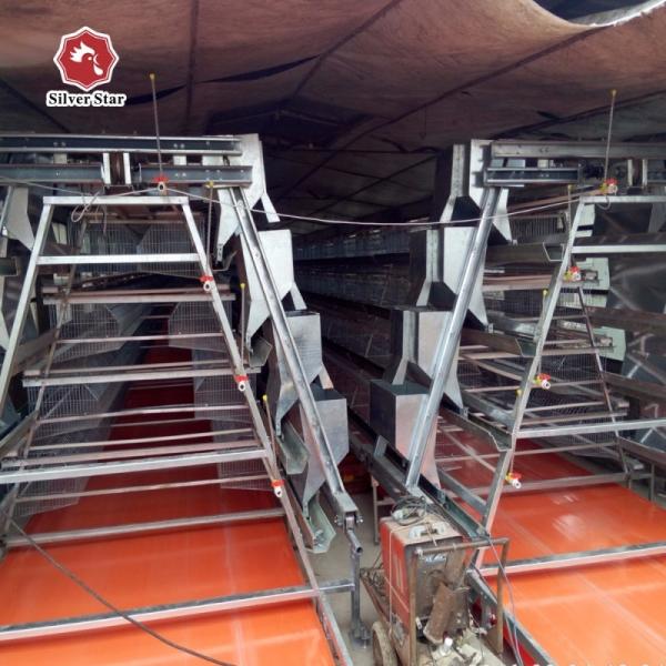 Quality Automatic Layer And Broiler 3 Tiers 4 Tiers Poultry Cages For Layer Chickens  50000 Birds wholesale