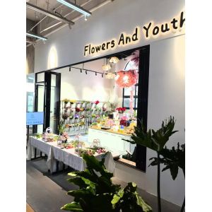 SunriseYoga Practice Space Folding Window Aligning with Solar Angles for Morning