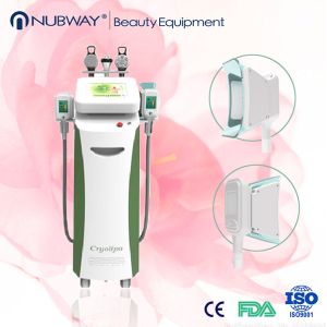 Cheap with RF cavitation cryolipolysis equipment two handle work together for sale