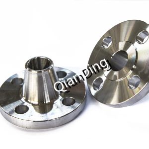 DIN, ANSI, BS, ASTM Stainless 304 306 Forged Pipe 1/2-48 WN Flange