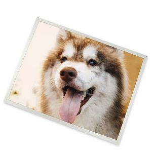 Cheap High Resolution ODM Custom 20.1-Inch WLED LCD Display Module 1600*1200 High Specific LCD Modules for sale