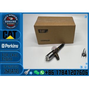 2645A745 Factory outlet Diesel fuel injector 2645A745 for Engine C7 C9 C6.6 CAT