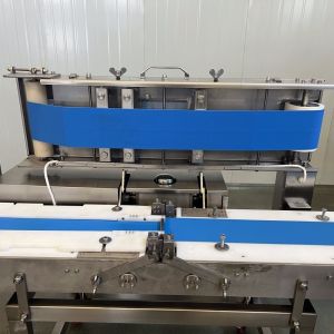 3kw Automatic Grade Commercial Frozen Meat Slicing Machine for Speed and