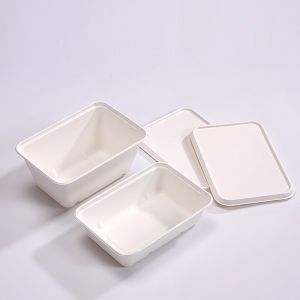Reusable Molded Pulp Packaging Compostable Printing Customized