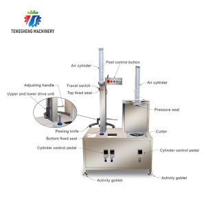 2000KG/H Pumpkin Watermelon Splitting Machine Cabbage Sectioning Machine