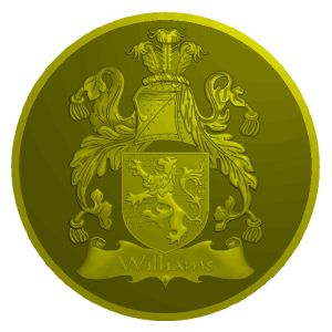 Factory Wholesale Cheap Blank Custom Logo Metal Challenge Coin