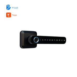 Remote Control Keyless Entry Smart Lock OEM Biometric Door Lock