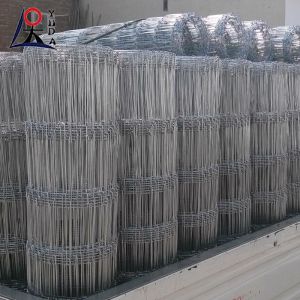 Highly Secure Livestock Or Grassland Fence Preventing Intrusion