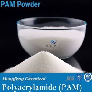 Flocculant Polyacrylamide PAM Powder Apam Anionic Polymer For Dewatering