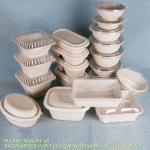 Biodegradable Disposable Compostable Sugarcane Bagasse Food Container Paper Pulp