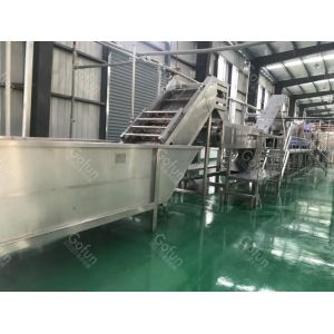 Food Grade SUS304 Tomato Production Line Customized 100T/D