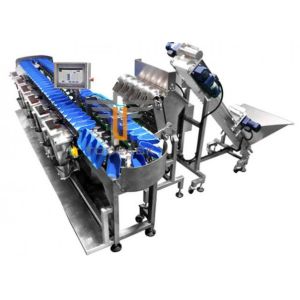 300WPM 1000g Fruit And Vegetable Packaging Machine Weight Sorting Machine
