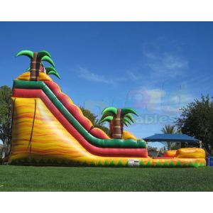 Multicolor Amusement Pool Full Printing Inflatable Water Slide