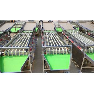 small type orange pear peach pomegranate tomato grading machine, sorting machine