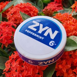 Cheap nico pouches ZYN boxes pouch custom tag various tastes for sale