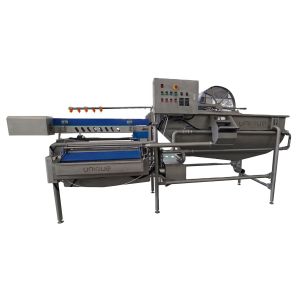 Customized Voltage 1.5t/h Capacity Vegetable and Salad Washing Machine for