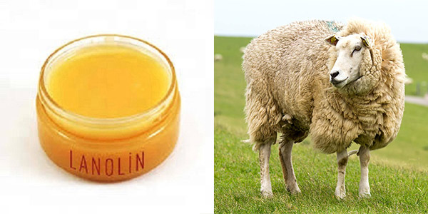 3 Phase Oil Water Centrifuge 10000L Disc Stack Centrifuge Batch Auto