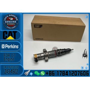 OE quality factory sale diesel fuel injector 243-4502 2434502 for CAT Caterpilla