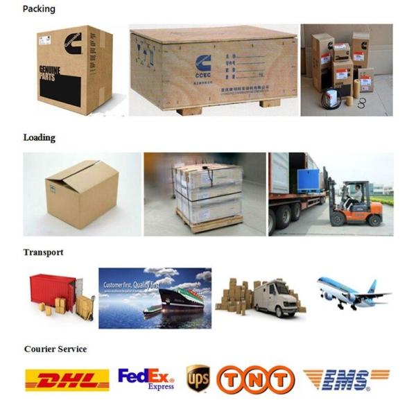 Forged Car Engine Camshaft for Cummins K38 206530 3013091 3066885