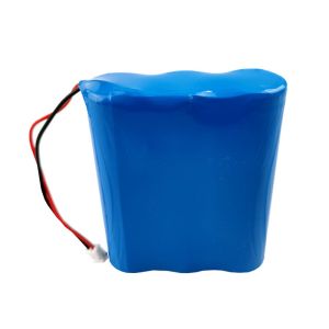 2600mAh Sanyo 18650 Lithium Rechargeable Battery 11.1 Volt