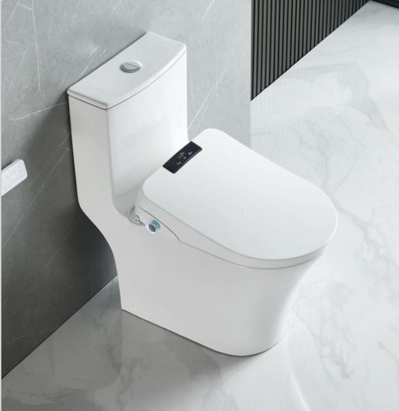 Quality Night Light Smart Flush Toilet Featuring Dual Flush Technology Ideal for Commercial Restroom Applications wholesale